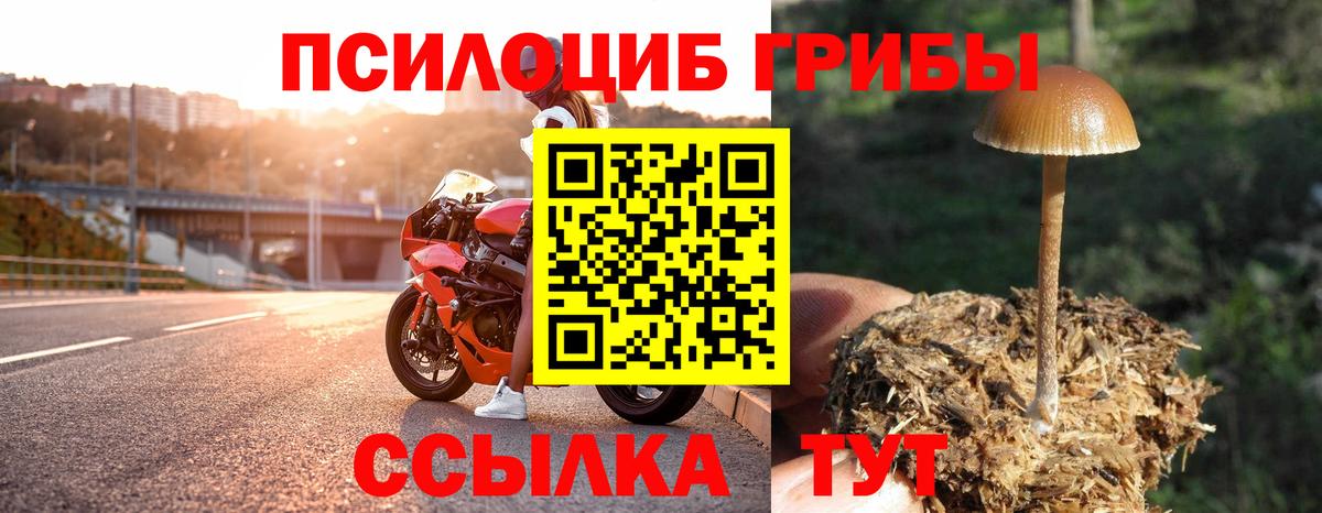 Псилоцибиновые грибы GOLDEN TEACHER Кудрово